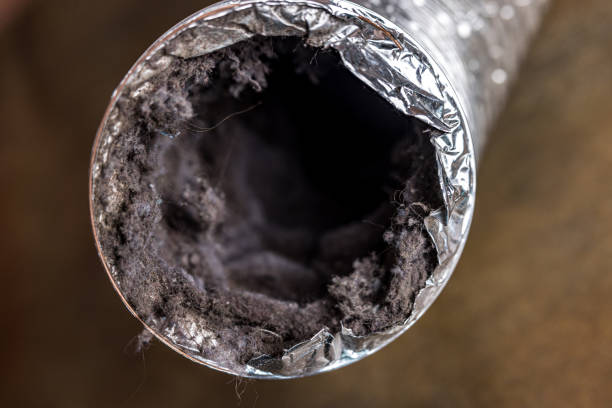 Best HVAC Duct Inspection Services  in Marshall, WI