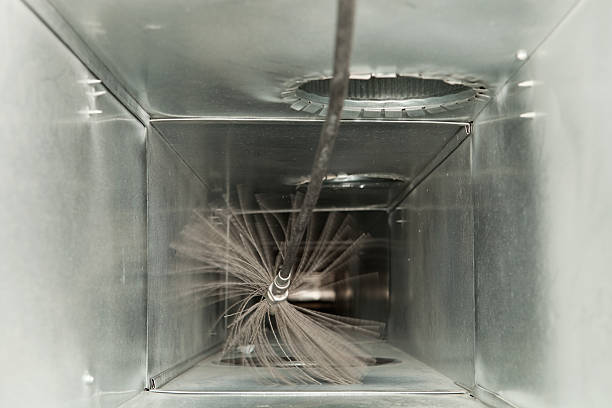 Best Professional Duct Cleaning Services  in Marshall, WI