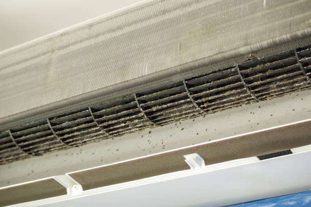 Best Ventilation Cleaning Services  in Marshall, WI