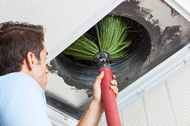 Best Air Vent Cleaning Services  in Marshall, WI